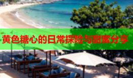 黄色糖心的日常探险与甜蜜分享